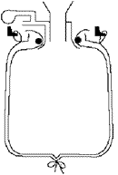 Bag and Liner Inflation